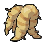 Big Root