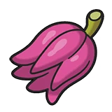 Kasib Berry