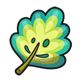Mirror Herb