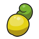 Shuca Berry