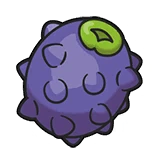 Wiki Berry