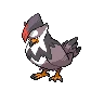 Staraptor